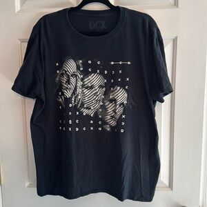 The Chicks “Dixie Chicks” DCX MMXVI Tour t-shirt